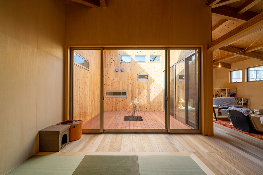 寝室からみる中庭